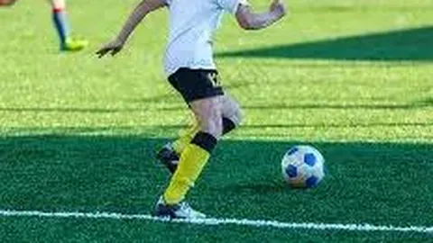 金宝博200bet体育 产品 065242 jlb